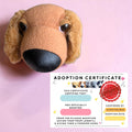 Puppy Adoption