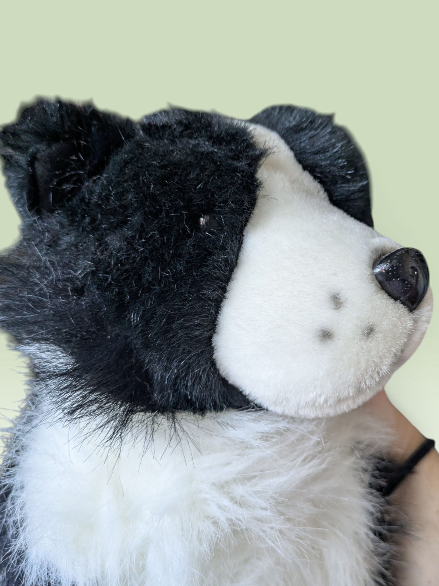Richard Lang & Sons Border Collie/ Sheepdog Plush